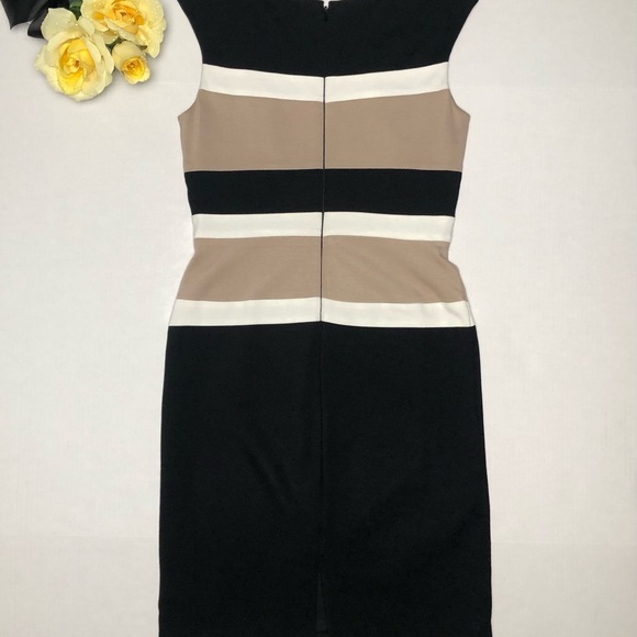 White House Black Market Sleeveless White & Tan Striped Stretch Sheath Dress - Picture 4 of 7